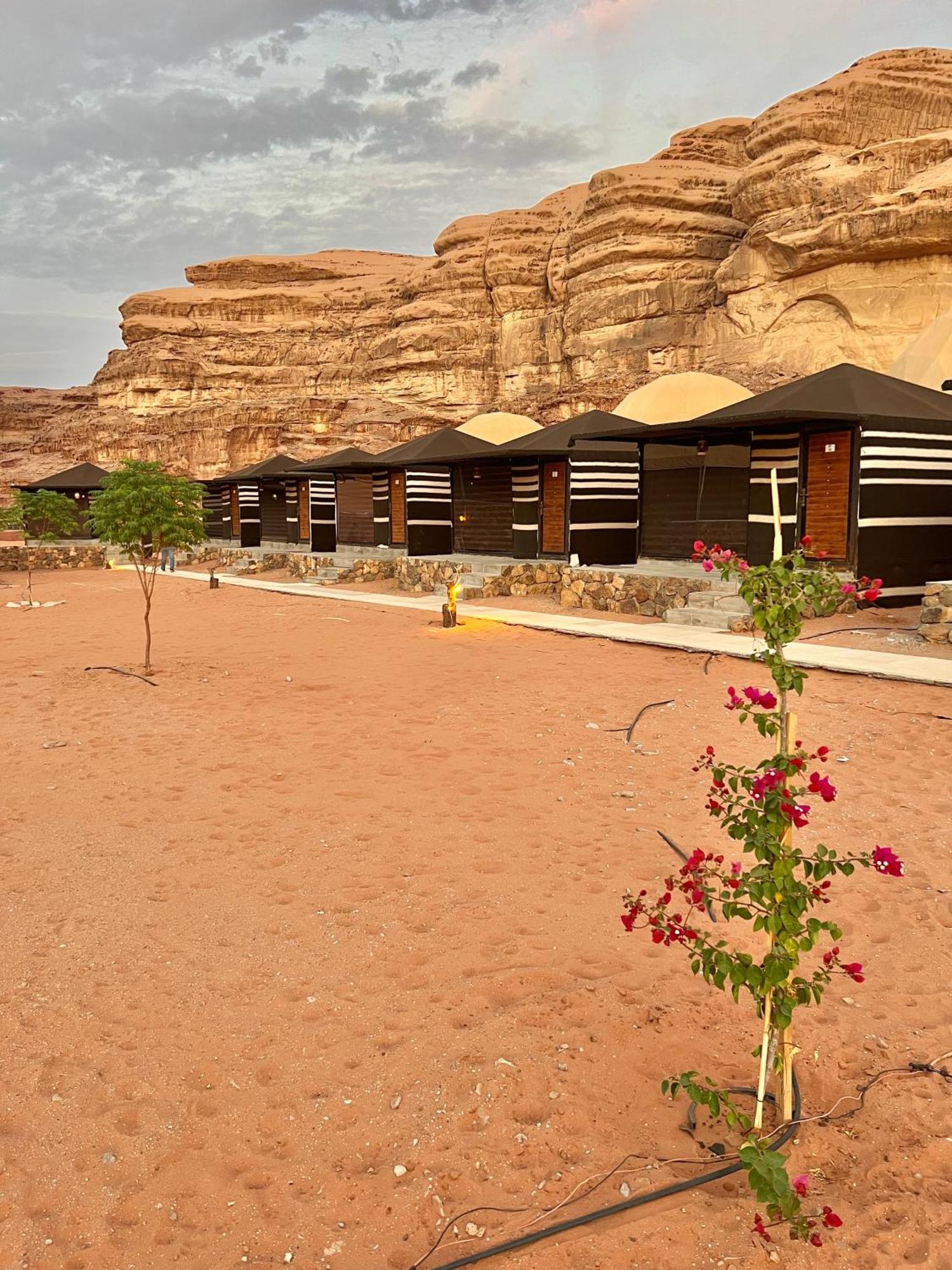 Revan Rum Luxury Camp Wadi Rum Extérieur photo