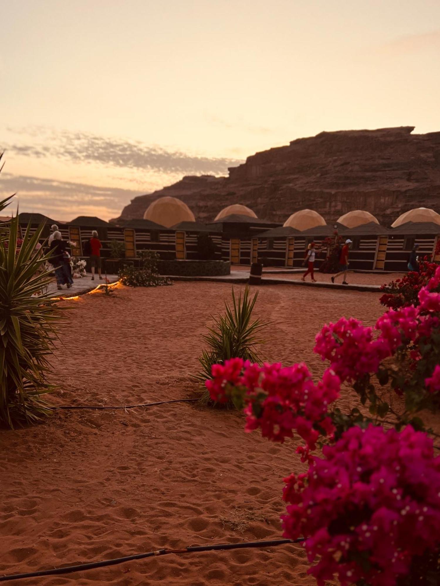 Revan Rum Luxury Camp Wadi Rum Extérieur photo