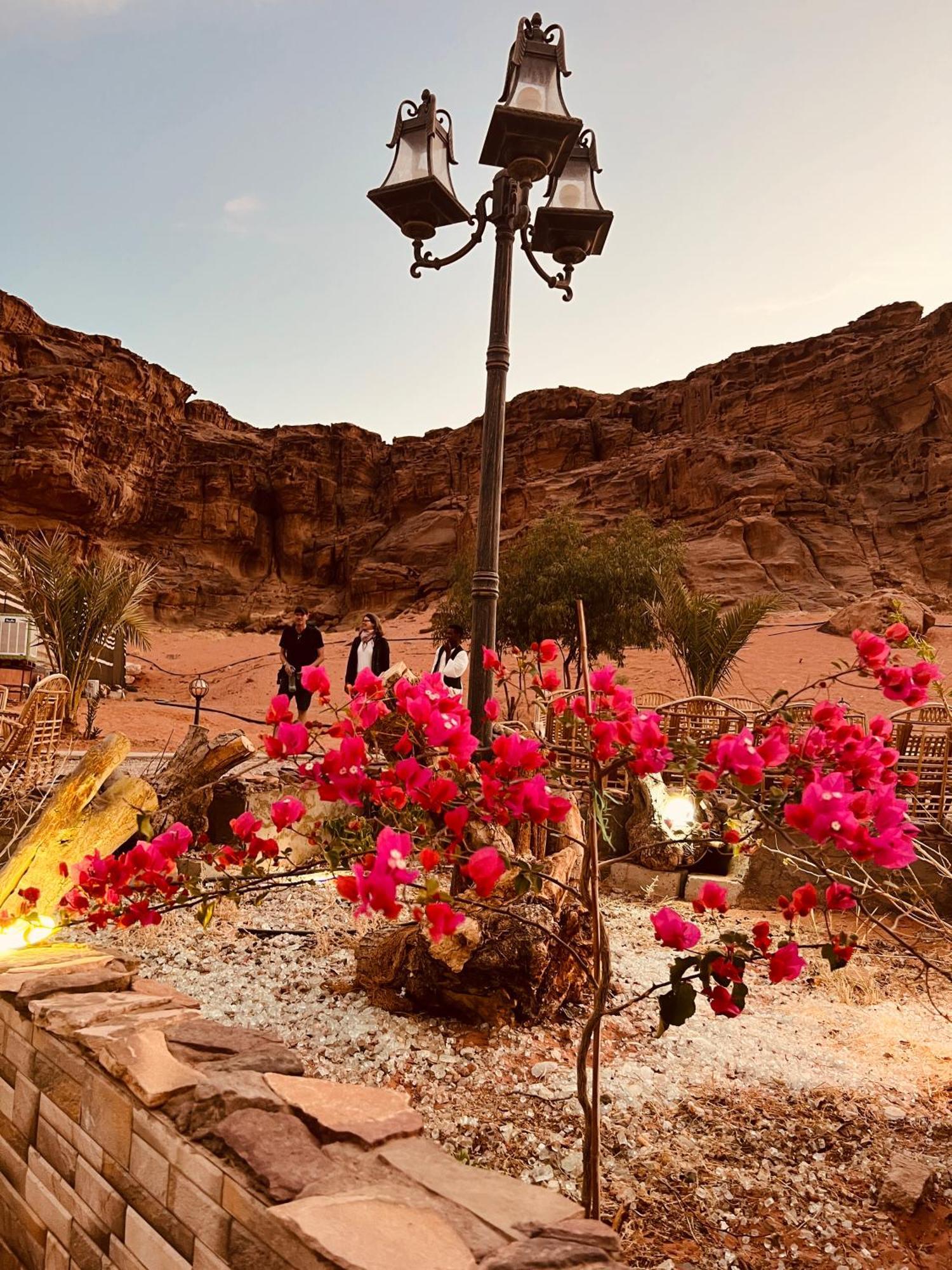 Revan Rum Luxury Camp Wadi Rum Extérieur photo
